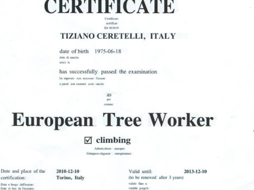 Cerificato ETW dell’European Arboricoltural Council