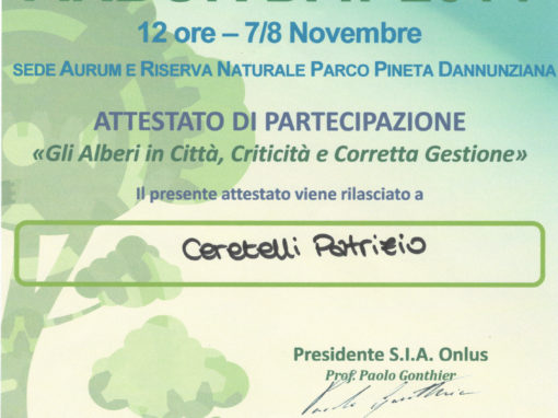 Arborday 2014 Pescara – Patrizio Ceretelli