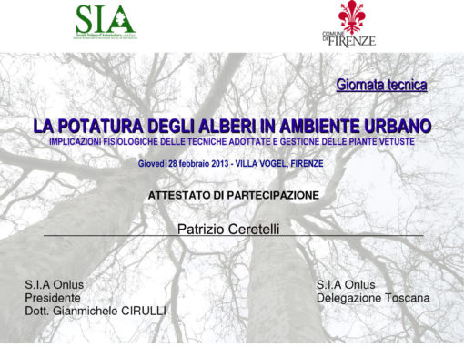 Potatura Alberi in Ambiente Urbano – Patrizio Ceretelli