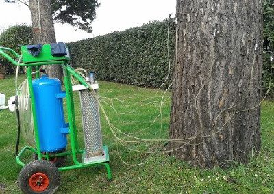 trattamento endoterapico