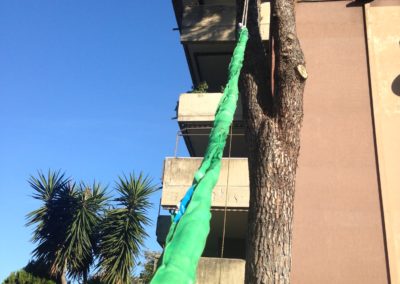 Prova di Trazione
