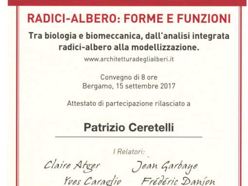 Attestato Arboriculture: That’s Cool! di Patrizio Ceretelli