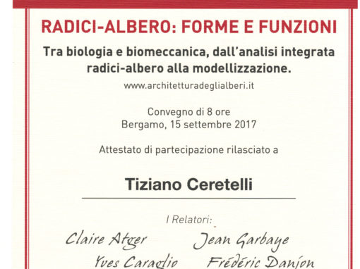 Attestato Arboriculture: That’s Cool! di Tiziano Ceretelli